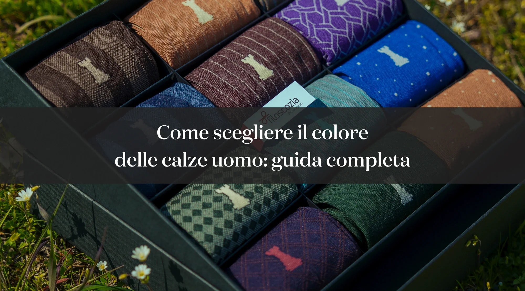 Calze da uomo colorate e a fantasia disposte in una confezione, con testo introduttivo sulla scelta del colore.