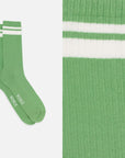 Mixed Colors - Box of 6 striped sports socks in organic cotton