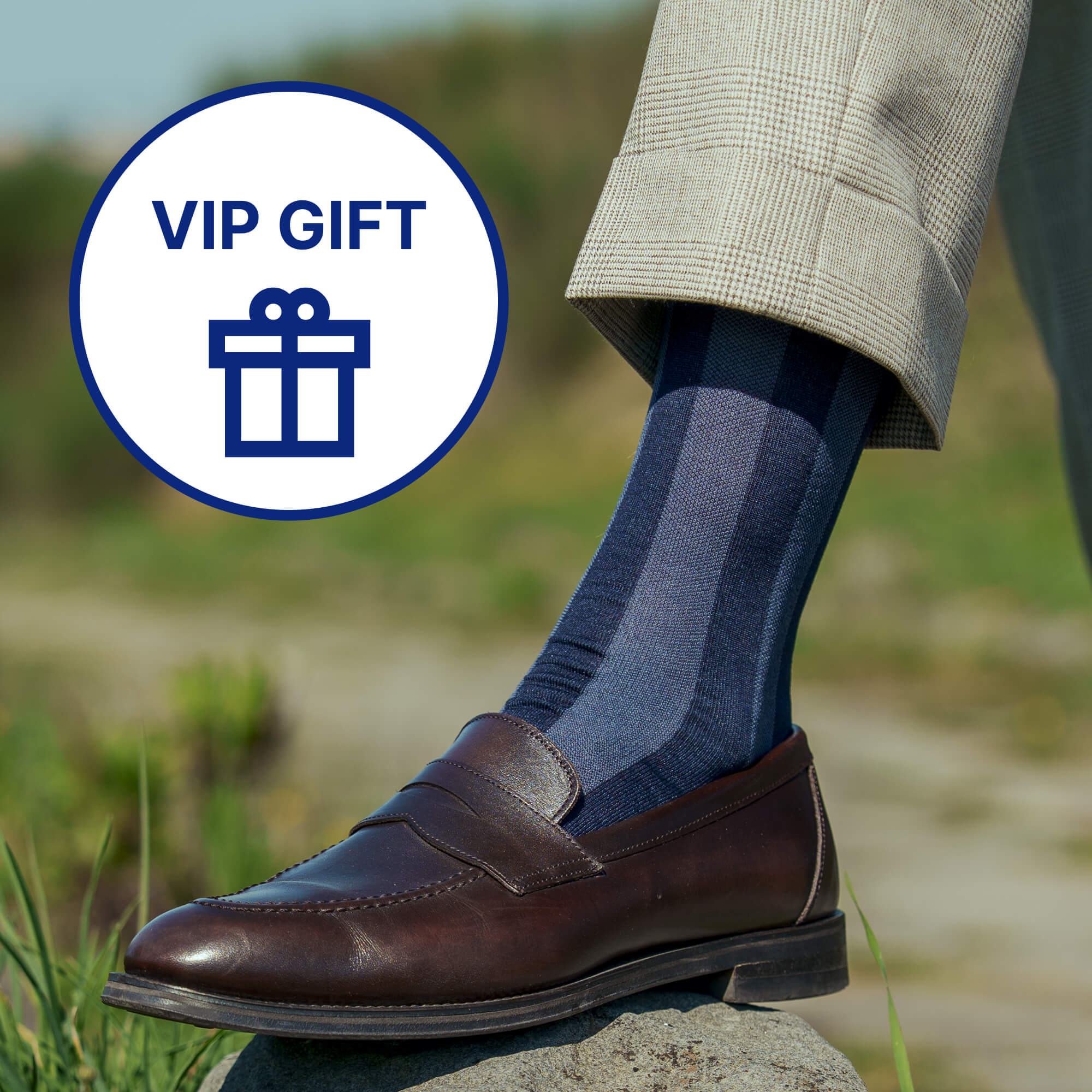 Regalo VIP - Test